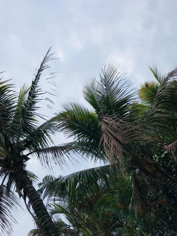 Chacara Recanto Paraiso Jarinu Dış mekan fotoğraf